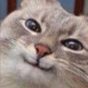 Meet your Posher, Janelly